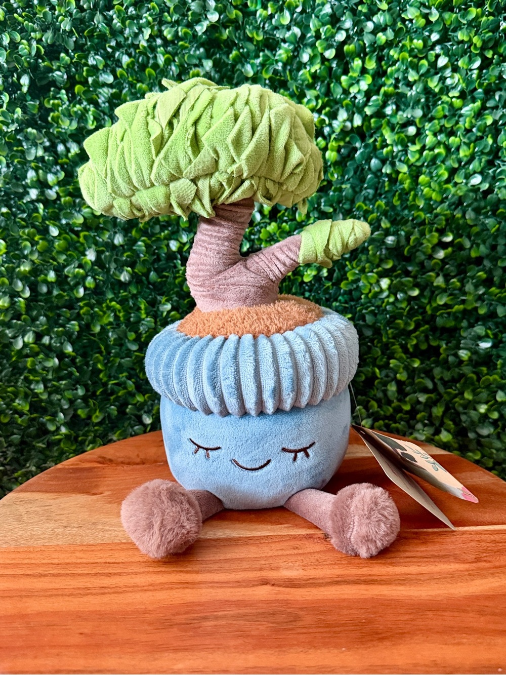 Greenhouse by Russ Lilly the Bonsai Tree 12” Plush